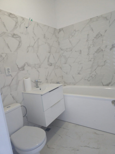Inchiriere Apartament open space/Crisul Repede