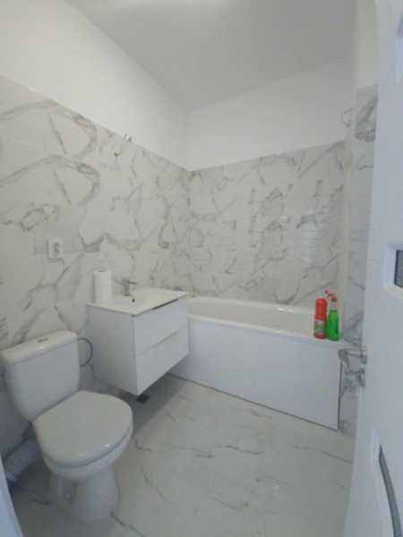Inchiriere Apartament open space/Crisul Repede