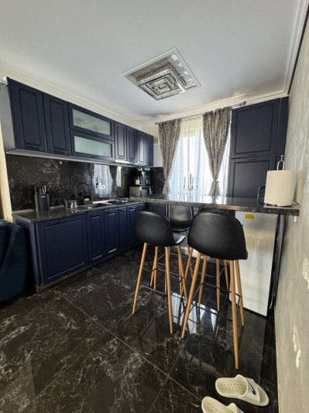 Casa/Vila Individuala Cornetu Strada Crizantemelor