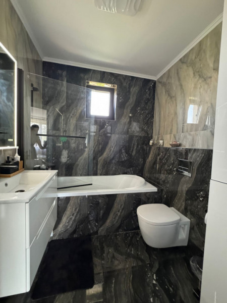 Casa/Vila Individuala Cornetu Strada Crizantemelor
