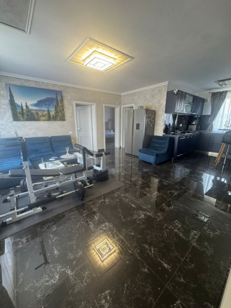 Casa/Vila Individuala Cornetu Strada Crizantemelor