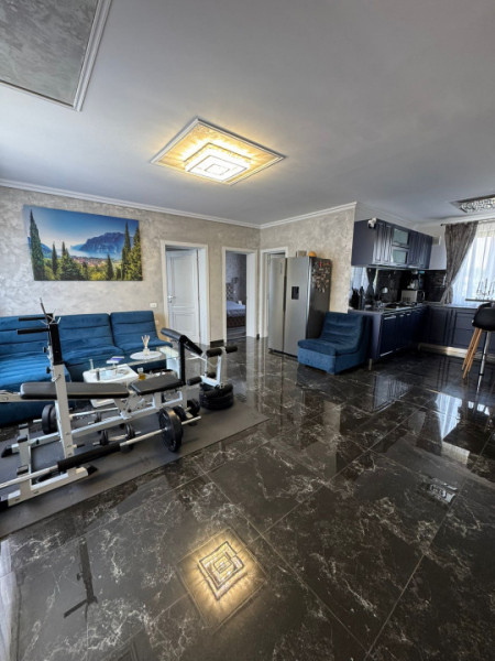 Casa/Vila Individuala Cornetu Strada Crizantemelor