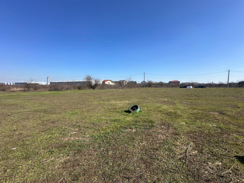 Teren de Vanzare in Bragadiru strada Izvorului