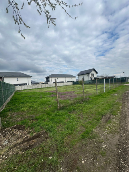 Teren de Vanzare in Bragadiru strada Crisul Repede 173