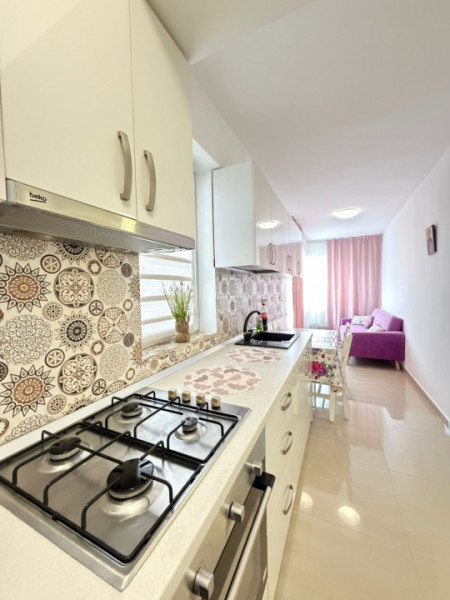 Apartament open-space de inchiriat Strada Diamantului