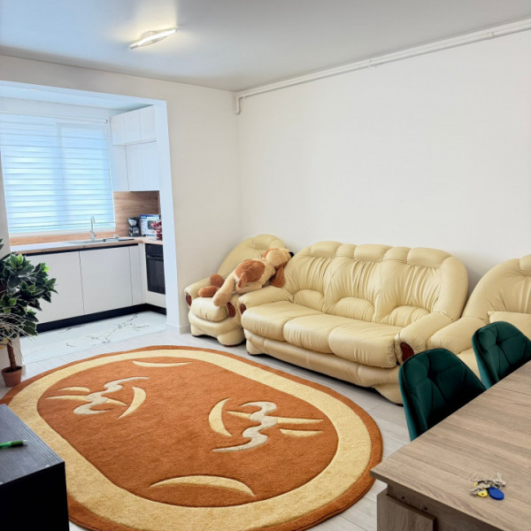 Inchiriere Apartament 2 camere Strada Crisul Repede 165