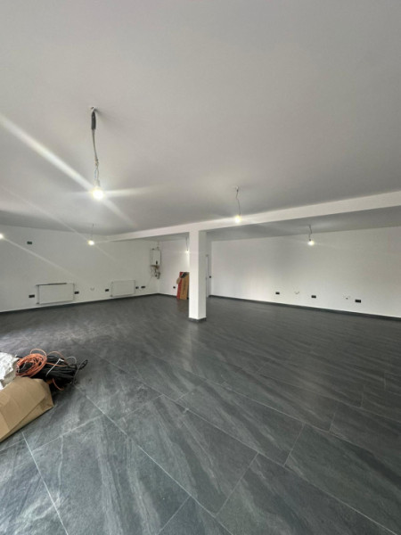 Vila Individuala/Spatiu Comercial Bragadiru -Cristalului