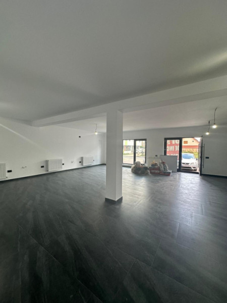 Vila Individuala/Spatiu Comercial Bragadiru -Cristalului