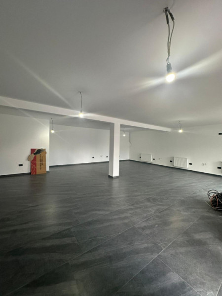 Vila Individuala/Spatiu Comercial Bragadiru -Cristalului