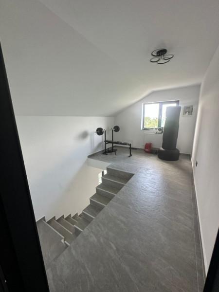 Vila Individuala/Spatiu Comercial Bragadiru -Cristalului