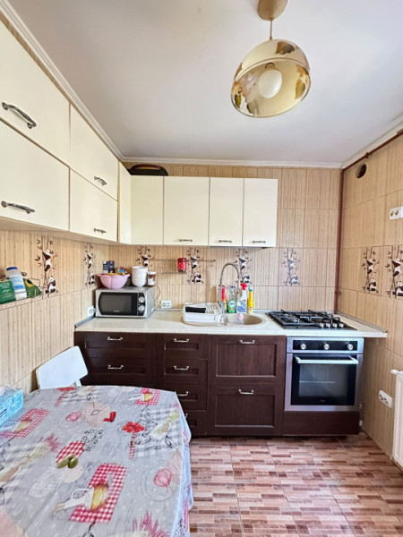 Casa/Vila insiruita Mobilata si Utilata Str.Neamului